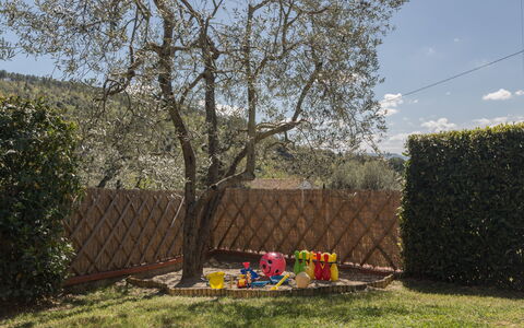Villa Manuela: Tree, Grass, Spring, Woody Plant, Plant, House, Shrub, Backyard, Yard, Land Lot