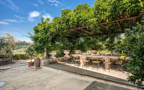 Villa Alfresco: Garden, Shade, Flowerpot, Flagstone, Outdoor Structure, Houseplant