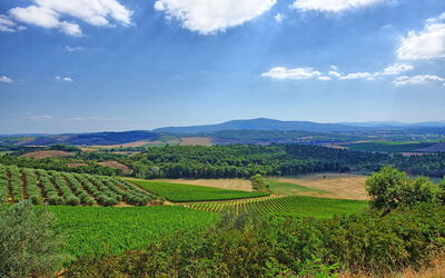 Tenuta Bibbiano