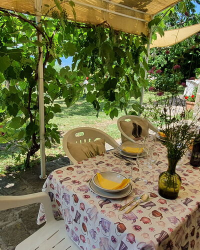 La Casa Del Sole: Plant, Property, Table, Botany, Nature, Flower, Landscape, Chair, Outdoor Furniture, Terrestrial Plant