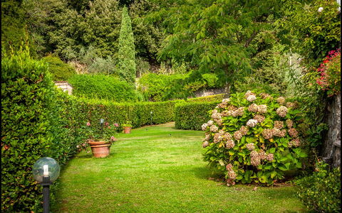 Orto Degli Olivi Proprietà: Garden, Nature, Lawn, Tree, Vegetation, Green, Grass, Shrub, Natural Landscape, Plant