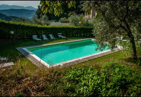 Orto Degli Olivi Proprietà: Swimming Pool, Property, Natural Landscape, Grass, Water, Leisure, House, Tree, Villa, Architecture