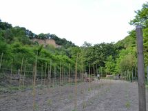 Agriturismo Il Giaggiolo without Pool