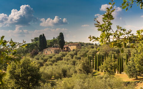 Villa Poggiospinoso: Natural Landscape, Nature, Sky, Vegetation, Tree, Cloud, Natural Environment, Wilderness, Biome, Nature Reserve