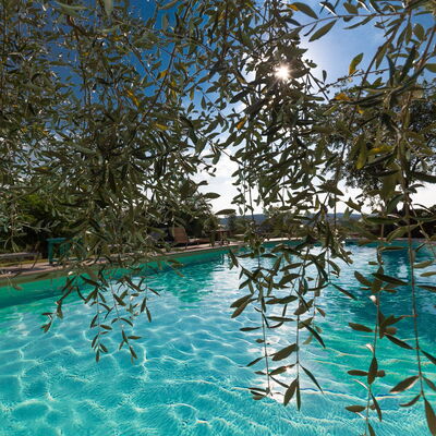 Villa Poggiospinoso: Swimming Pool, Leisure, Resort, Water, Leisure Centre, Vacation, Tree, Hotel, Recreation, Plant