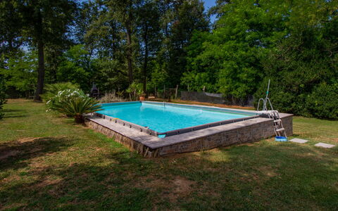Elena: Swimming Pool, Shade, Garden, Leisure, Backyard, Landscaping, Park, Water Feature, Eco Hotel, Resort