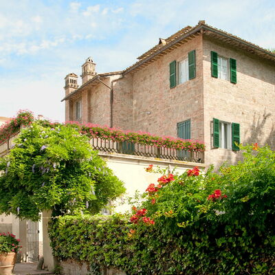 Villa Asciolo: Plant, Shrub, Property, House, Building, Real Estate, Flowerpot, Residential Area, Garden