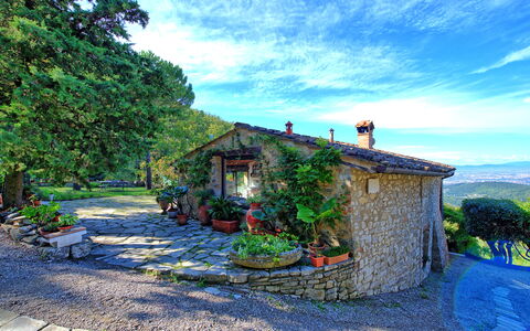 Villa Ancora: Plant, House, Paint, Rural Area, Art, Garden, Cottage, Flowerpot, Watercolor Paint, Village