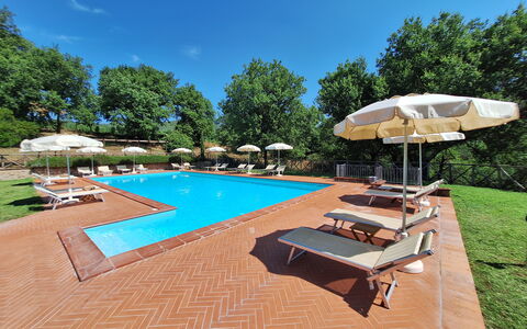 Agriturismo L'incrociata: Swimming Pool, Resort, Eco Hotel, Outdoor Furniture, Garden, Hacienda, Shade, Estate, Sunlounger, Landscaping