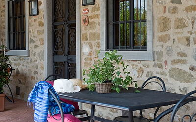 Accommodation:&nbsp;Greppia