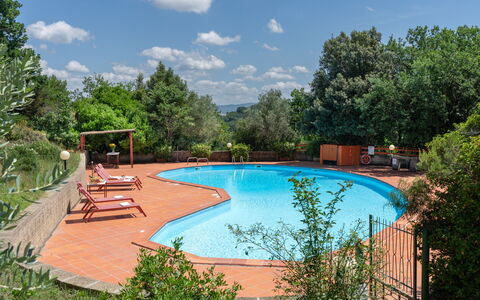 Villa Laura: Water, Plant, Sky, Cloud, Swimming Pool, Tree, Outdoor Furniture, Shade, Chair, Natural Landscape