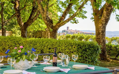Villa Sorbaiano: Table, Plant, Tableware, Property, Green, Tree, Wine Glass, Chair, Sky, Tablecloth