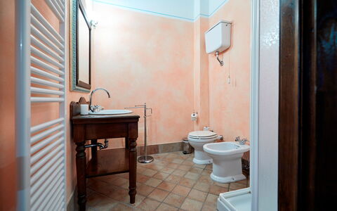 Agriturismo Il Molino Di Uncinano: Brown, Plumbing Fixture, Tap, Sink, Property, Bathroom Sink, Toilet Seat, Bathroom, Mirror, Toilet