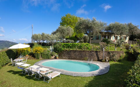 Villa Elisa: Swimming Pool, Outdoor Furniture, Resort, Estate, Garden, Hacienda, Eco Hotel, Cottage, Backyard, Yard