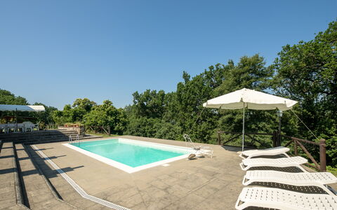 Grezzano Villa: Sky, Tree, Swimming Pool, Shade, Outdoor Furniture, Land Lot, Arecales, Grass, Leisure, Landscape