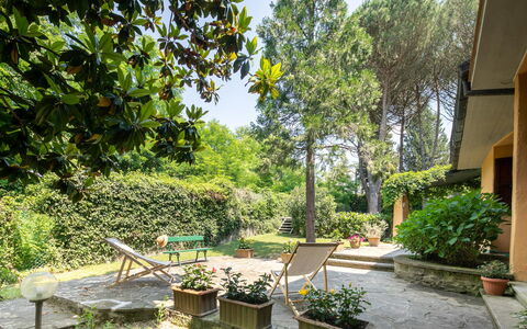 Villa Del Mugello: Plant, Property, Building, Flowerpot, Shade, Tree, Vegetation, Sky, Grass, Houseplant