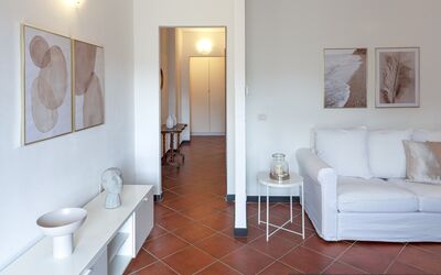 Apartment Blueberry: Furniture, Table, Couch, Picture Frame, Comfort, Wood, Flooring, Architecture, Interior Design, Living Room