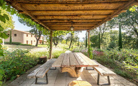 Fonte Della Chiana: Plant, Nature, Shade, Wood, Window, Botany, Tree, Grass, Vegetation, Biome