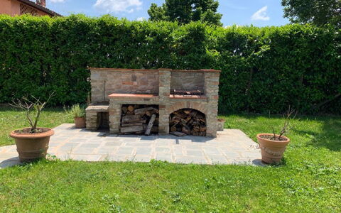 Il Pozzo Di San Barnaba: Plant, Sky, Property, Cloud, Flowerpot, Green, Land Lot, Grass, Tree, Chair