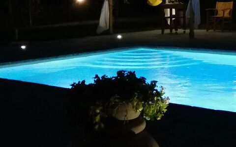 Il Pozzo Di San Barnaba: Water, Plant, Flowerpot, Light, Houseplant, Sky, Interior Design, Rectangle, Swimming Pool, Grass