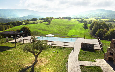Villa Guardistallo: Cloud, Plant, Sky, Property, Mountain, Natural Landscape, Tree, Grass, Land Lot, Biome