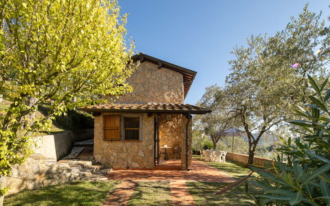 Casa Del Colle: Plant, Sky, Plant Community, Building, Window, Natural Landscape, Wood, Tree, Land Lot, Grass