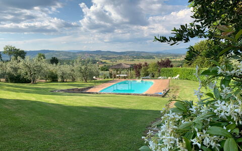 San Lorenzo: Cloud, Sky, Plant, Water, Natural Landscape, Tree, Swimming Pool, Vegetation, Land Lot, Grass