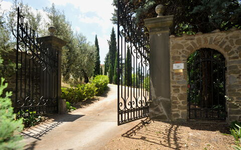 Il Poggiolo: Plant, Property, Sky, Cloud, Road Surface, Tree, Shade, Sunlight, Grass, Fence