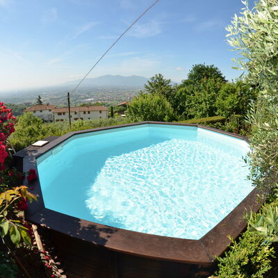 Alla Collina Del Sole: Water, Sky, Flower, Swimming Pool, Cloud, Nature, Plant, Rectangle, Shade, Outdoor Furniture