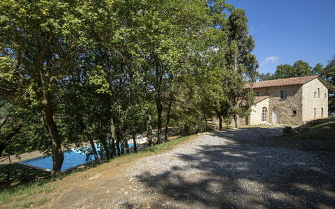 Villa Lucarella: Tree, Grass, Branch, Landscape, House, Home, Shrub, Rural Area, Land Lot