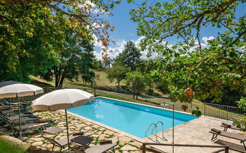 Villa Lucarella: Swimming Pool, Outdoor Furniture, Resort, Leisure, Garden, Shade, Eco Hotel, Sunlounger, Backyard, Estate