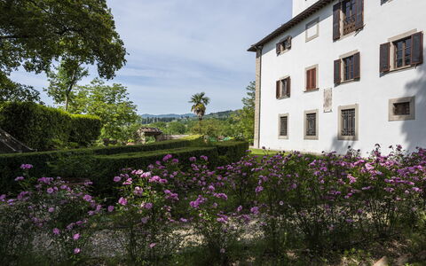 Villa Vigliano: Flower, Sky, Plant, Building, Cloud, Property, Window, Purple, Vegetation, Tree