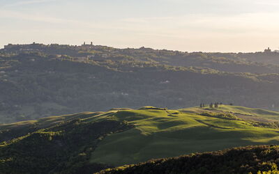 Panoramic view