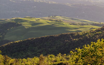 Panoramic view