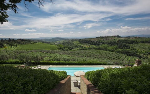 Chianti Fornace 1: Cloud, Sky, Water, Plant, Water Resources, Natural Landscape, Vegetation, Tree, Swimming Pool, Grass