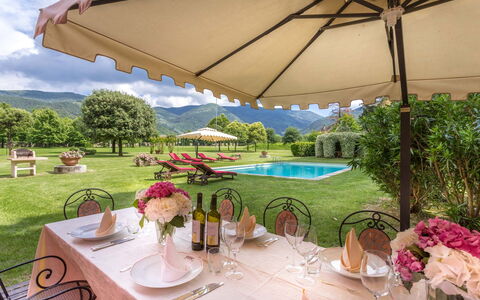 Villa Guasperini: Flower, Plant, Table, Water, Property, Furniture, Tableware, Umbrella, Chair, Outdoor Furniture