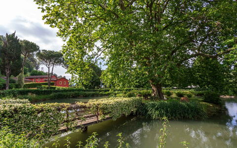 Villa Guasperini: Water, Plant, Green, Natural Landscape, Tree, Cloud, Watercourse, Body Of Water, Lake, Bank