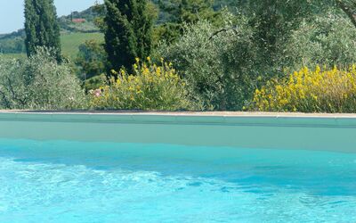 Tenuta Le Sodole: Water, Sky, Plant, Property, Swimming Pool, Plant Community, Tree, Nature, Azure, Natural Landscape