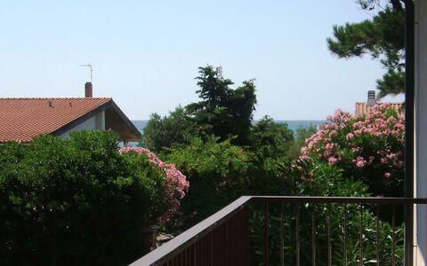 Casa Argentario: Plant, Building, Sky, Property, Flower, Wood, Tree, House, Residential Area, Real Estate