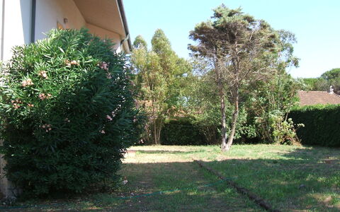 Casa Argentario: Plant, Property, Sky, Tree, Land Lot, Road Surface, Shade, Grass, Groundcover, Natural Landscape