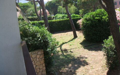 Casa Argentario: Plant, Property, Leaf, Botany, Nature, Tree, Vegetation, Shade, Land Lot, Road Surface