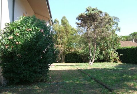 Casa Argentario: Plant, Property, Sky, Tree, Land Lot, Road Surface, Shade, Grass, Groundcover, Natural Landscape