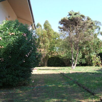 Casa Argentario: Plant, Property, Sky, Tree, Land Lot, Road Surface, Shade, Grass, Groundcover, Natural Landscape