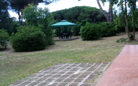 Giannella Holiday Apartment: Plant, Property, Leaf, Tree, Botany, Shade, Road Surface, Vegetation, Land Lot, Grass