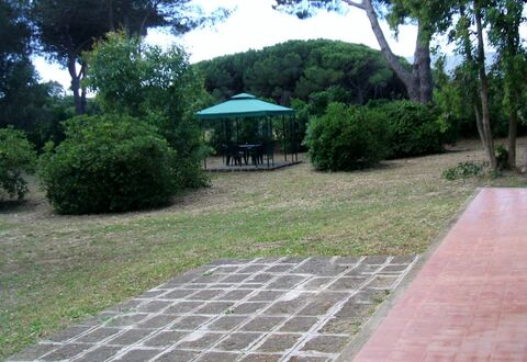Giannella Holiday Apartment: Plant, Property, Leaf, Tree, Botany, Shade, Road Surface, Vegetation, Land Lot, Grass