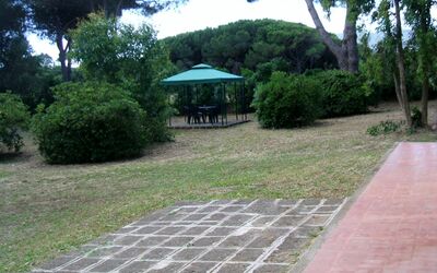 Giannella Holiday Apartment: Plant, Property, Leaf, Tree, Botany, Shade, Road Surface, Vegetation, Land Lot, Grass
