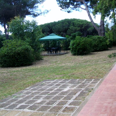 Giannella Holiday Apartment: Plant, Property, Leaf, Tree, Botany, Shade, Road Surface, Vegetation, Land Lot, Grass