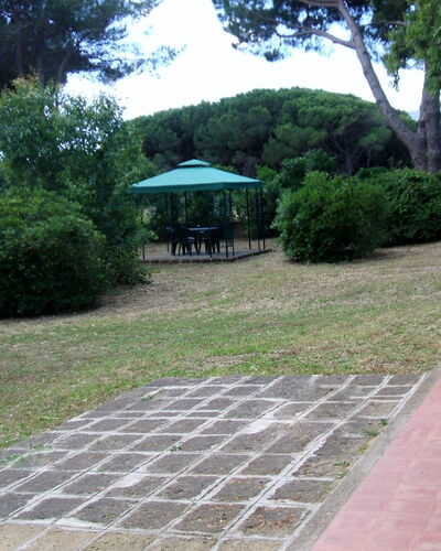 Giannella Holiday Apartment: Plant, Property, Leaf, Tree, Botany, Shade, Road Surface, Vegetation, Land Lot, Grass