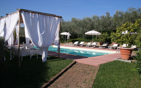 Il Fienile Holiday Home: Plant, Sky, Water, Umbrella, Shade, Swimming Pool, Outdoor Furniture, Flowerpot, Grass