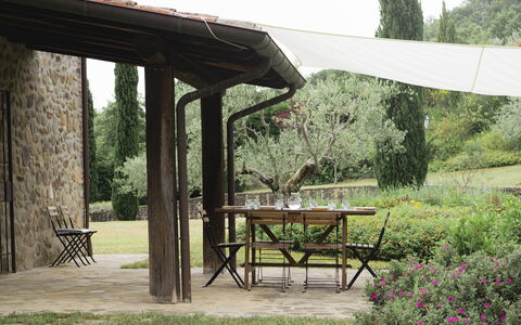 Villa San Leo: Plant, Table, Property, Furniture, Nature, Shade, Tree, Outdoor Furniture, Outdoor Table, Wood